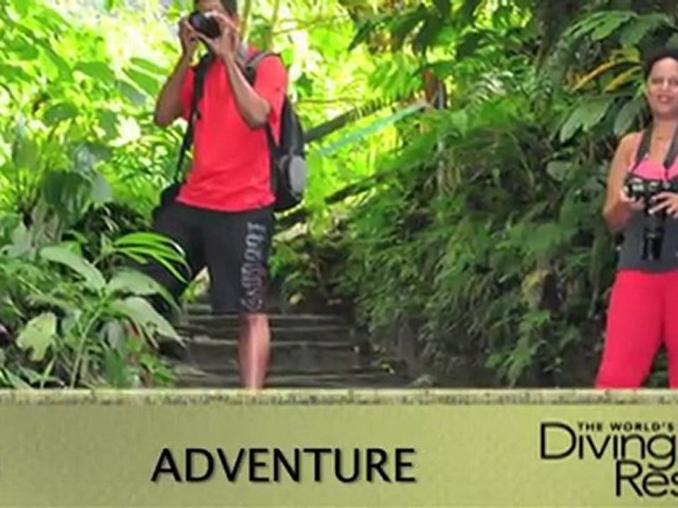 World's Best Diving & Resorts: Fort Young Hotel