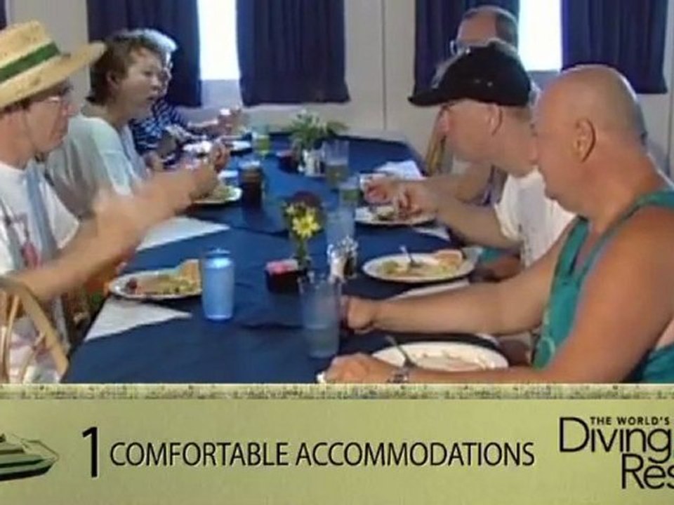 Aqua Cat just may be your ticket to paradise