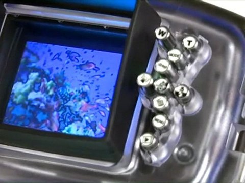 60 Second Scuba Lab: Sea and Sea DX-GE5