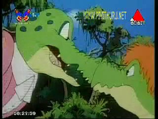 PANCHA    P1    2012   03    23