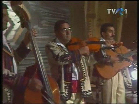 NICULINA STOICAN Mostenitorii