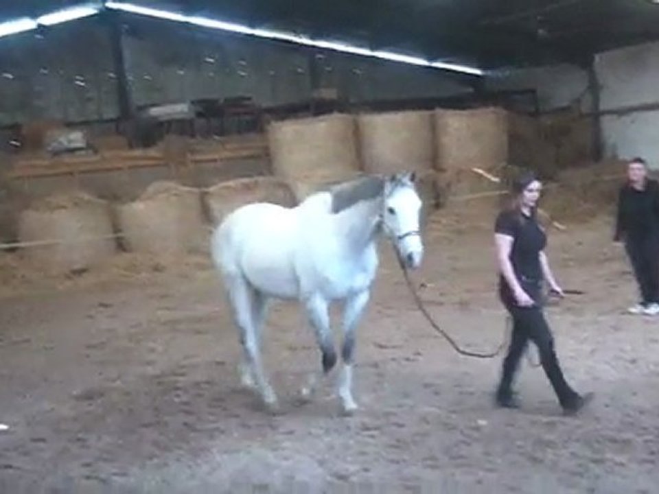 22.03.2012.zd.sing.s2