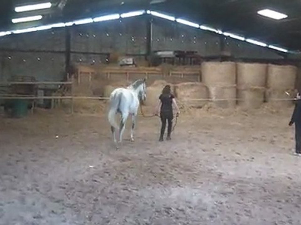 22.03.2012.zj.sing2