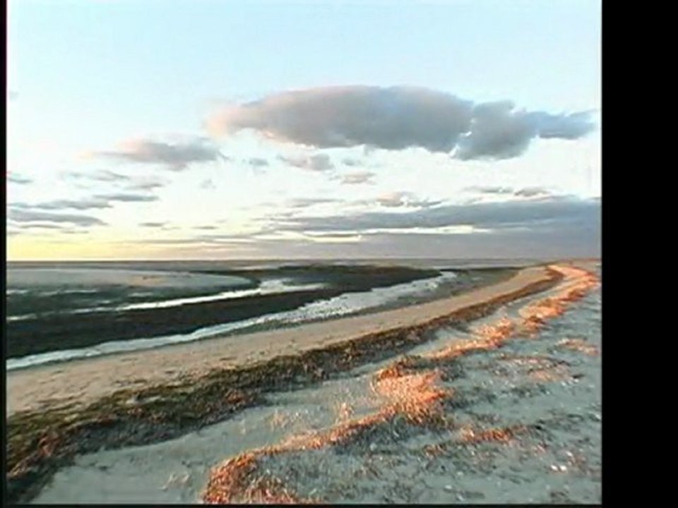 98-eelpoint