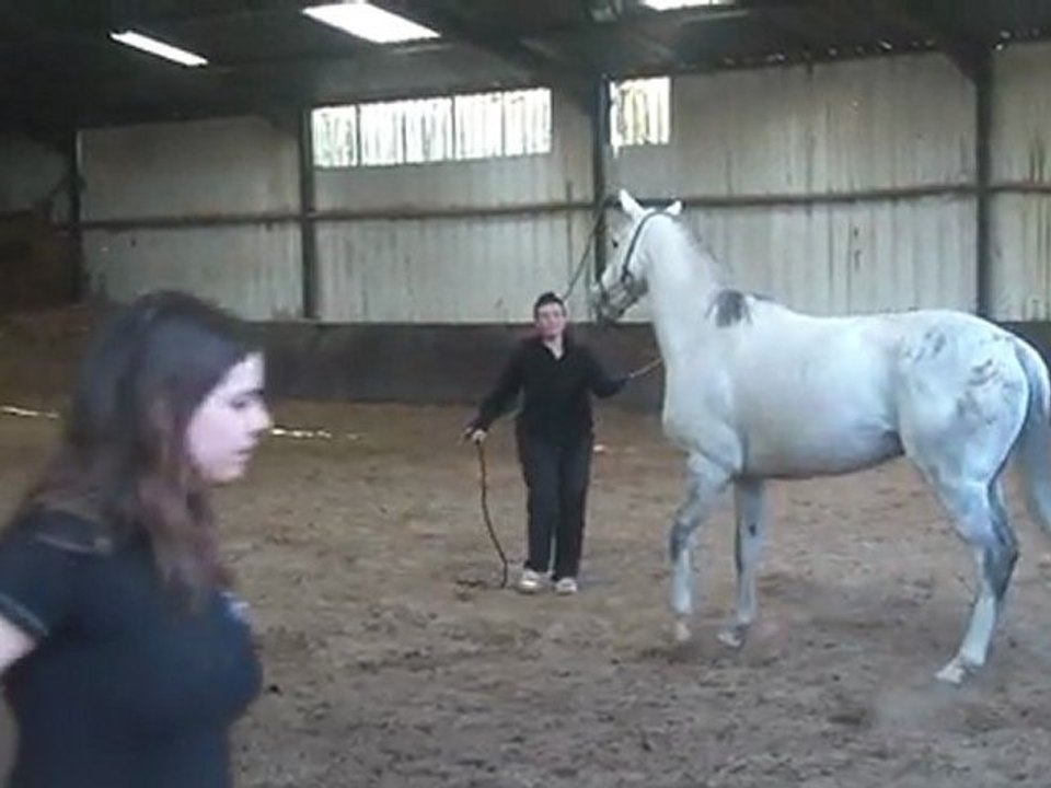 22.03.2012.zq.sing.s2