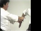 Yoshimitsu Yamada - Aikido - Instructional Video 6 - Satarlanda