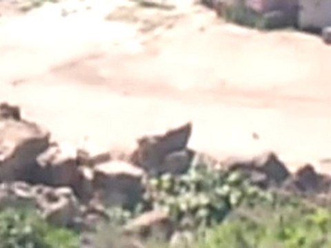 فري برس درعا بلدة تسيل عصابات البطة والدبابات لمنع المظاهارت 23 3 2012 ج2