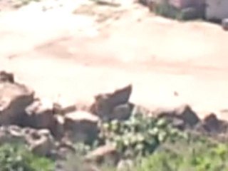 فري برس درعا بلدة تسيل عصابات البطة والدبابات لمنع المظاهارت 23 3 2012 ج2