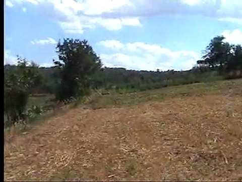 2008 YILI MEMLEKET (PEMBELİ KÖYÜ) KÖKSAL SARAÇ