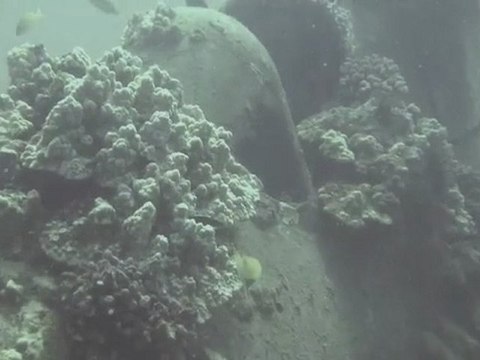 July 2010 Secret Spot Maui Hell Diver