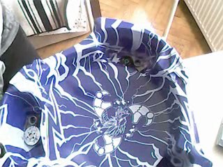 Rock Leone vs Dark Bull