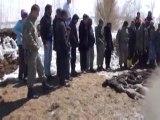 Eriyen Kar Suyu Ahırı Bastı, 130 Kuzu Telef Oldu