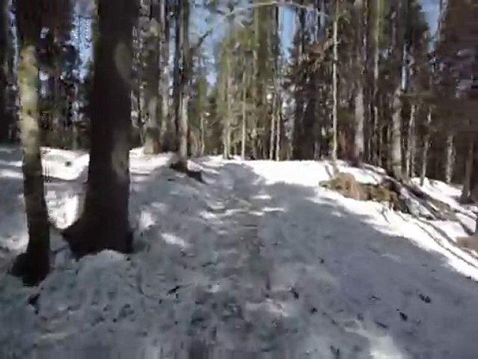 Course à pied sur sentier raquette