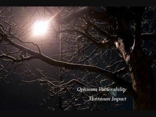 Optimum Vulnerability-Maximum Impact