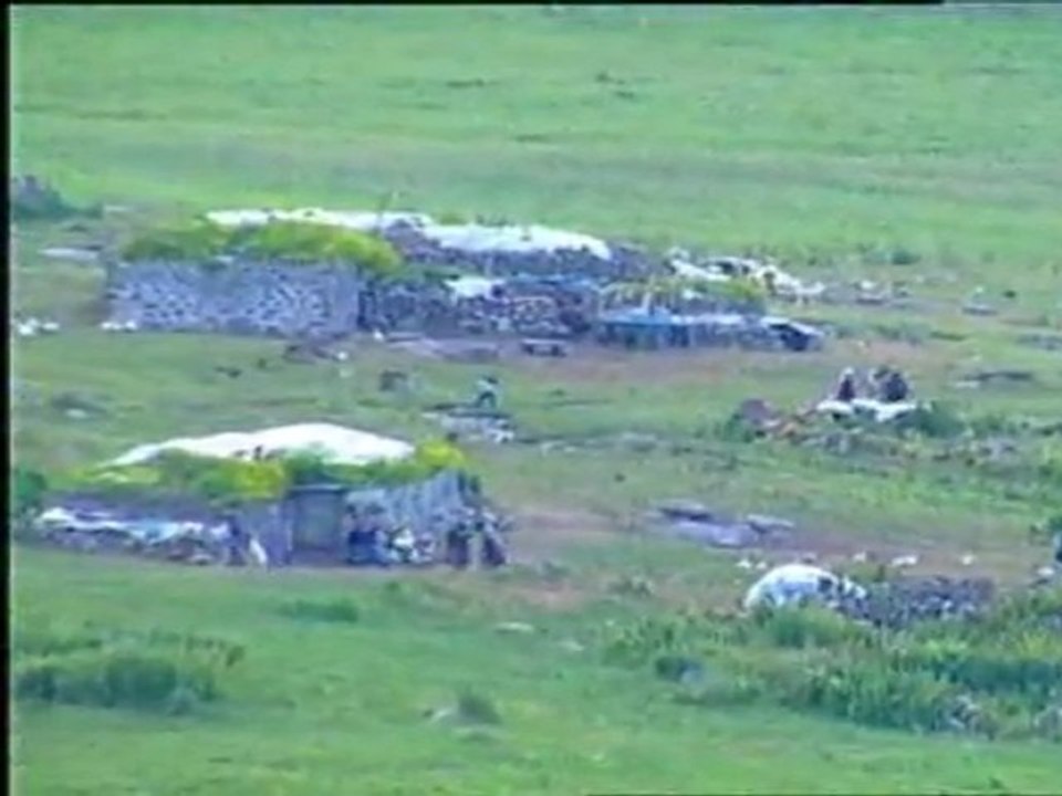 Kazo - Koçere