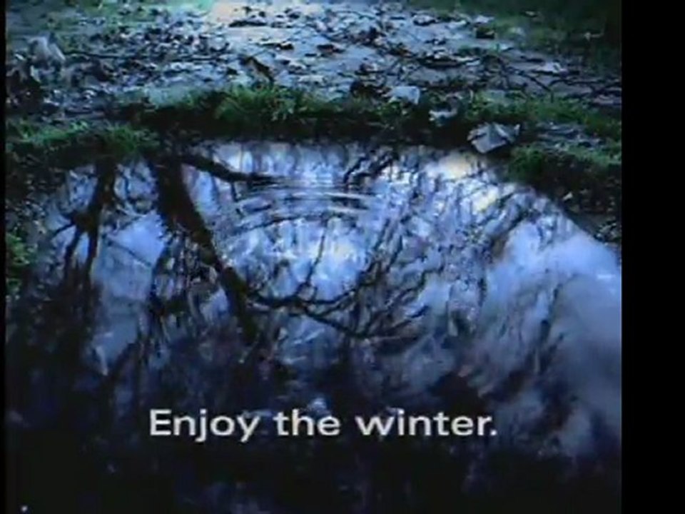 Audi "Puddle"