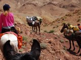 Equitrekking Morocco Equestrian Outdoor Sport Travel - Horseback Riding
