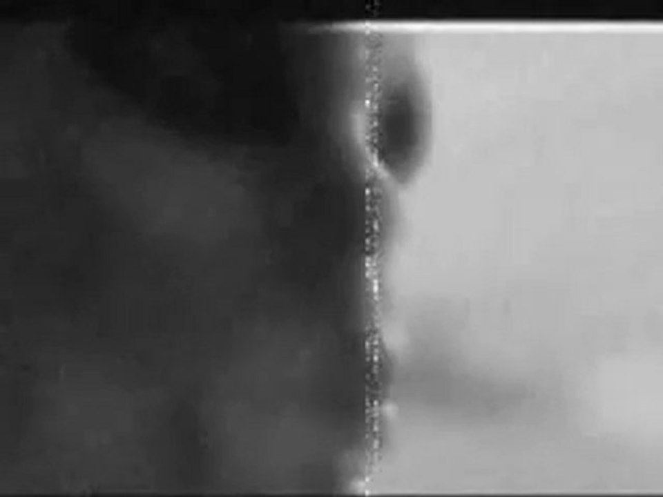 Leaked Alien footage from Area 51