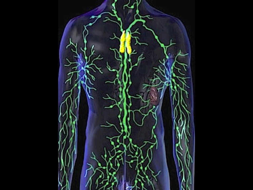 Rock In The Classroom/46 Chromosomes