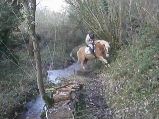 Domaine d'Olisun, un paradis, le notre ♥