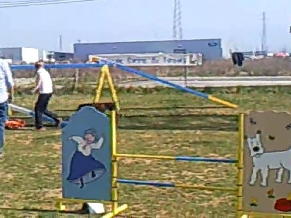 agility