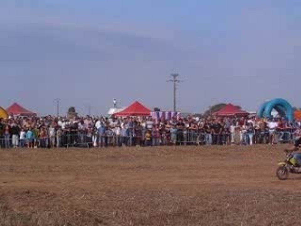 frestyle fmx