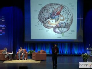 VS Ramachandran on the Mirror Neuron Effect