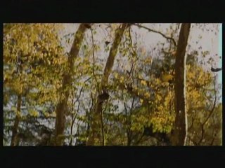 Burhan Topal - Oğul