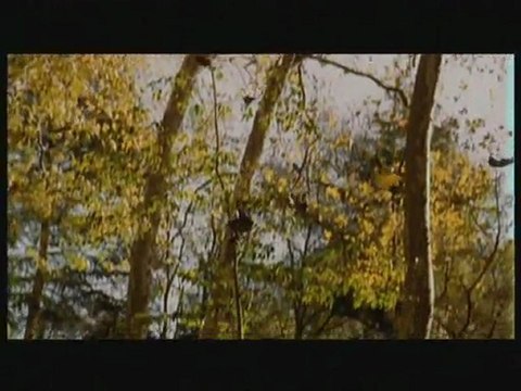 Burhan Topal - Oğul