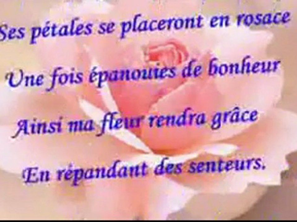 Poesie -La Fleur d Age -Tizi-Gheniff F.Bozetine