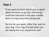 How to train a dog - 3 step potty training