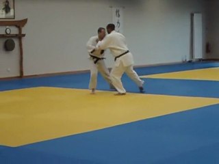Passage obligé des 3 premières séries du Nage no kata pour l'obtension du 1er dan