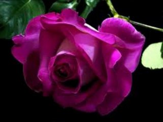 seslidesevgi SaNa Ders  OLSun AkıLI  OLacaksın