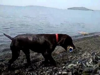 Ateş Von Limnili Su Aportu2