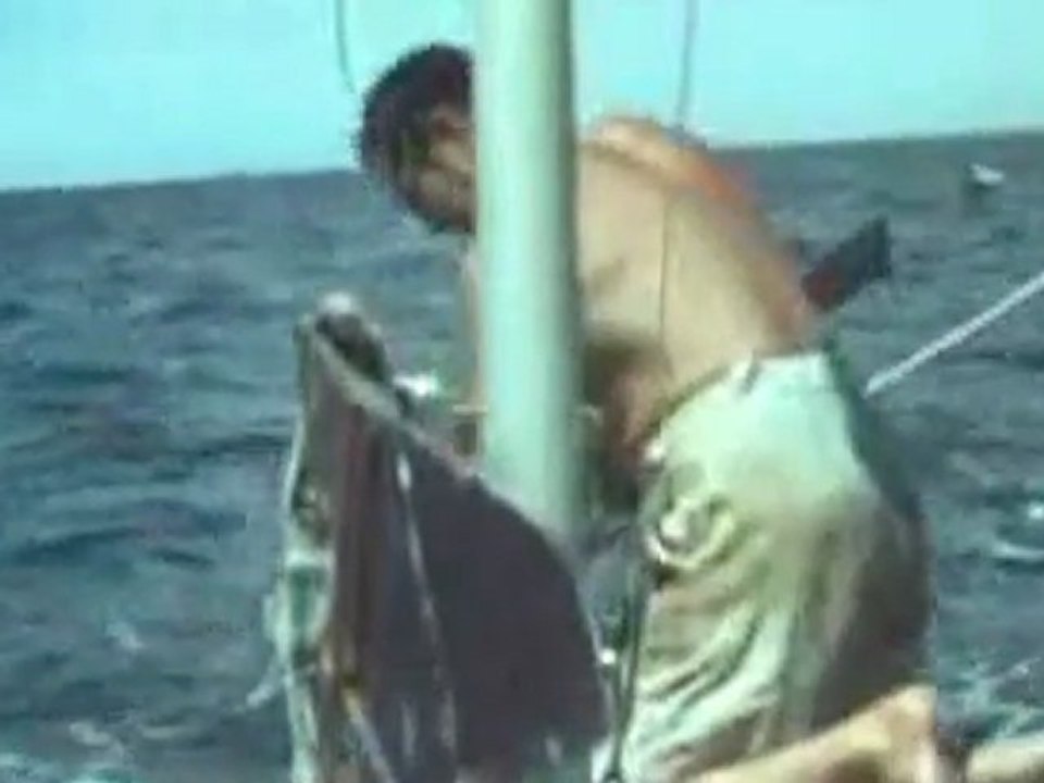 Deep Water Trailer
