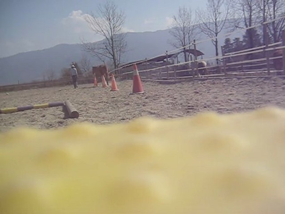 MVI_9728