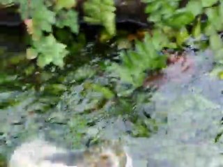 LMYRA ANTİC CİTY- FİNİKE (LEVENT)