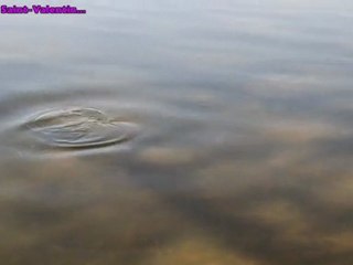 La Saint-Valentin des Brochets