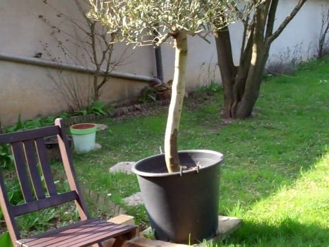 Je bois à la paille