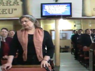 "LEVIŢII HARULUI" (După ploaie şi furtună)