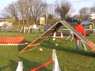 Agility Dole 2012 Open