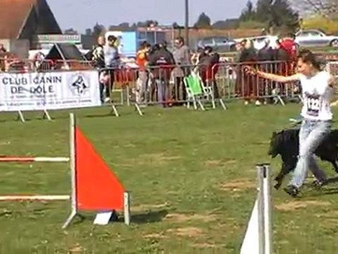 Agility Dole 2012 1er degré