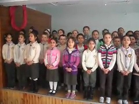 arabaya taş koydum