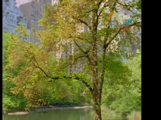 "BreakBeats"  Project  ITSSMT