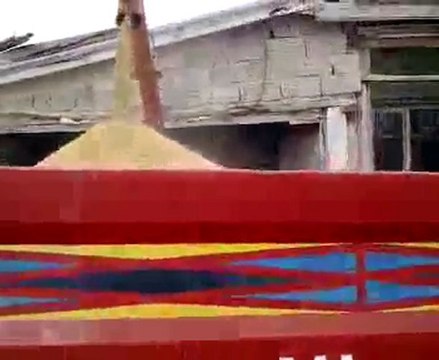 23.03.2012 MF 5445'e arpa yükleniyor.