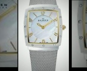 skagen ladies mesh watch