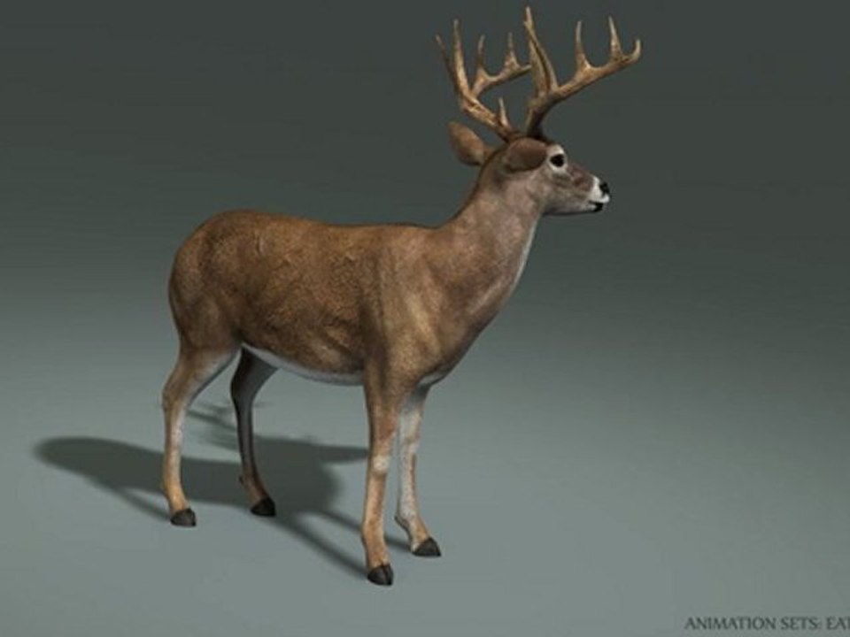 Deer Buck Animation (Eat/Attack)