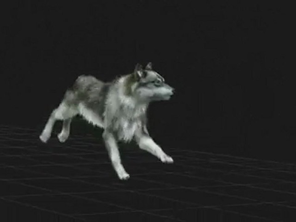 Wolf Animation (Run)