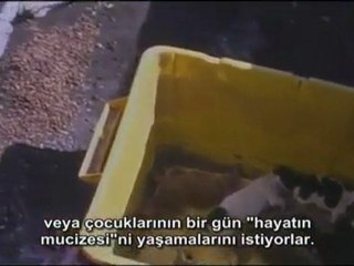 Hayvanlara eziyet ve petshop gerçeği www.kumanda.org