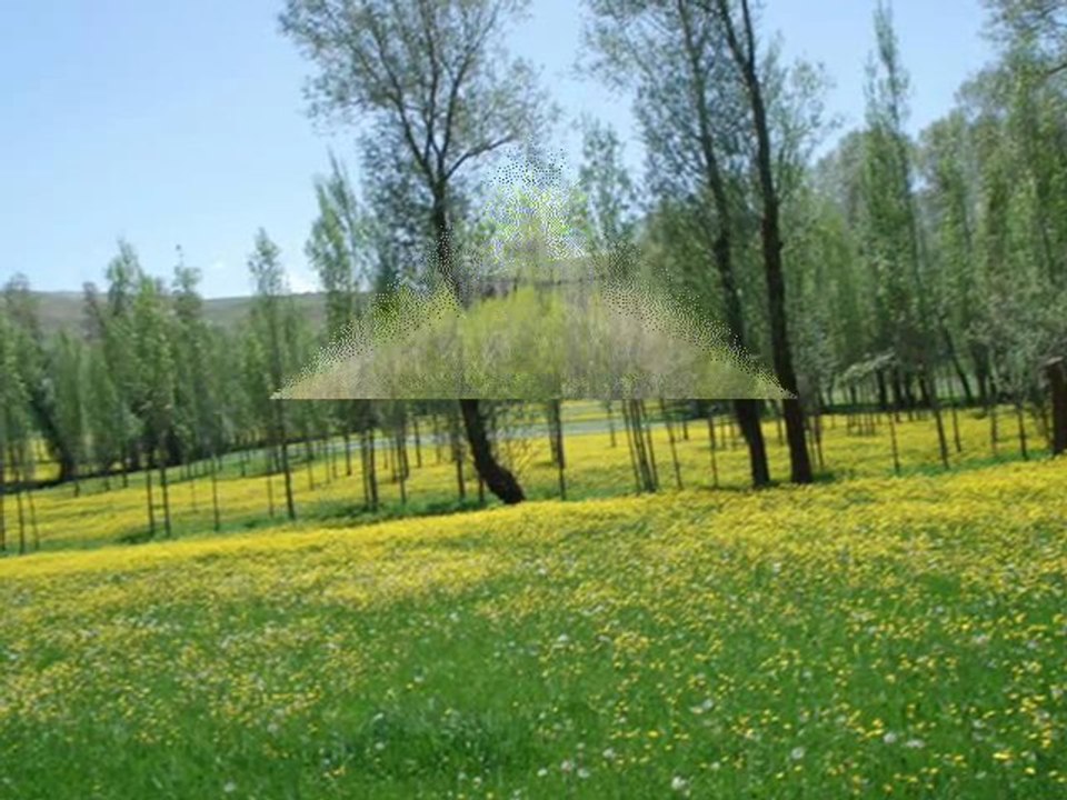 Ender Balkir - Mektup Selam Söyle Benden Sılaya